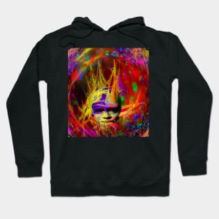 Astral Fantasy Hoodie